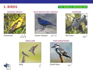 Chinar Trees And Other Rhymes & Folktales – image 3